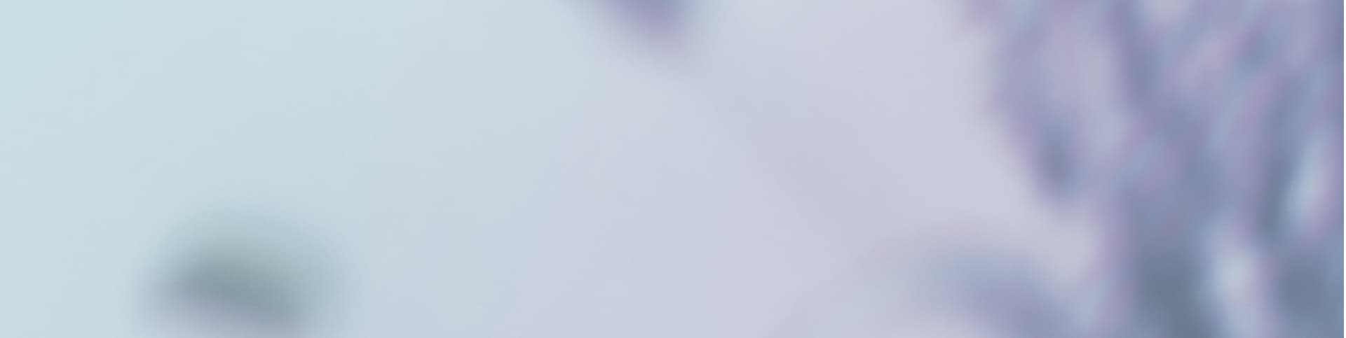 about-senses-428w